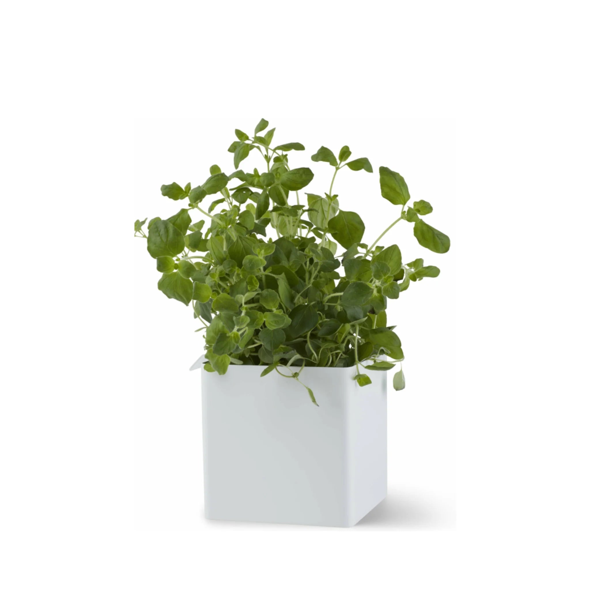 Gejst FLEX Small Box White 10.5cm - Magnetic Rail Storage Accessory