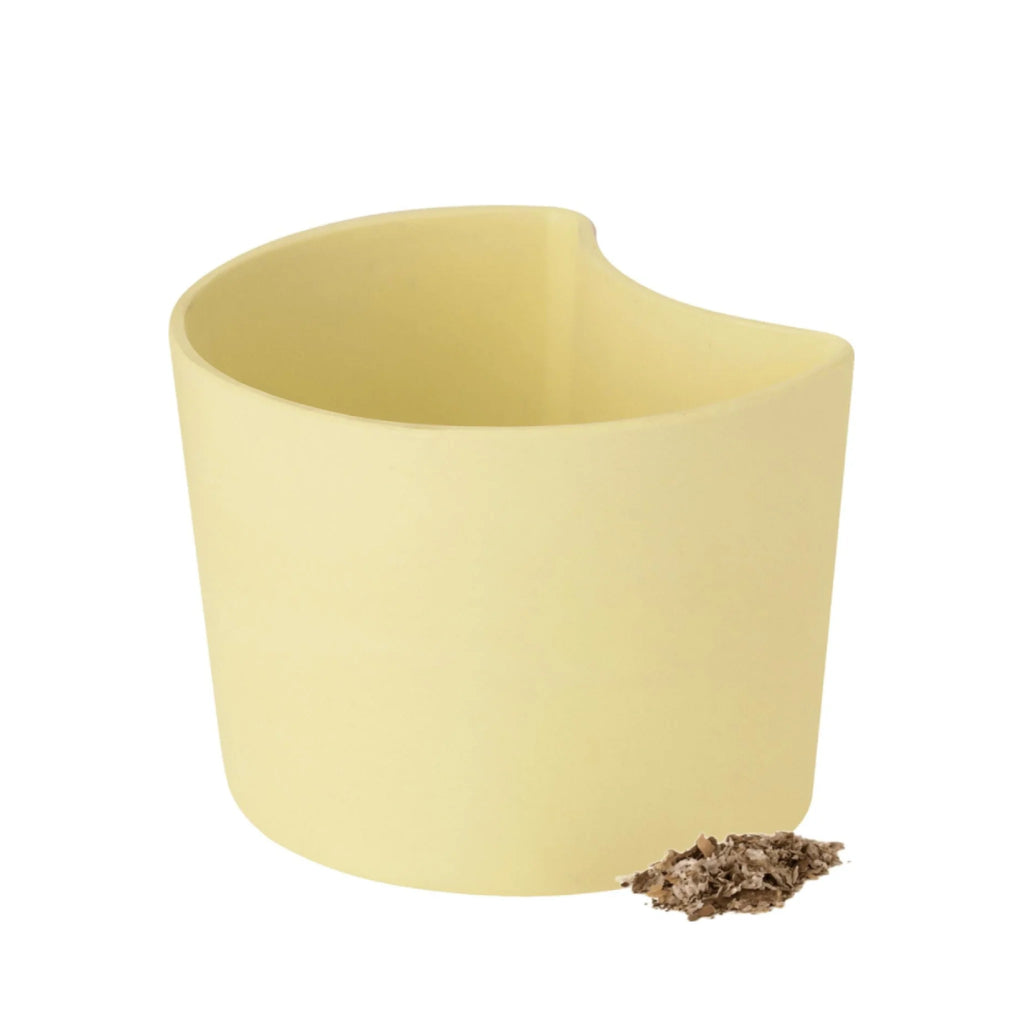 Rig Tig Your Tree Flower Pots With Seeds, Yellow