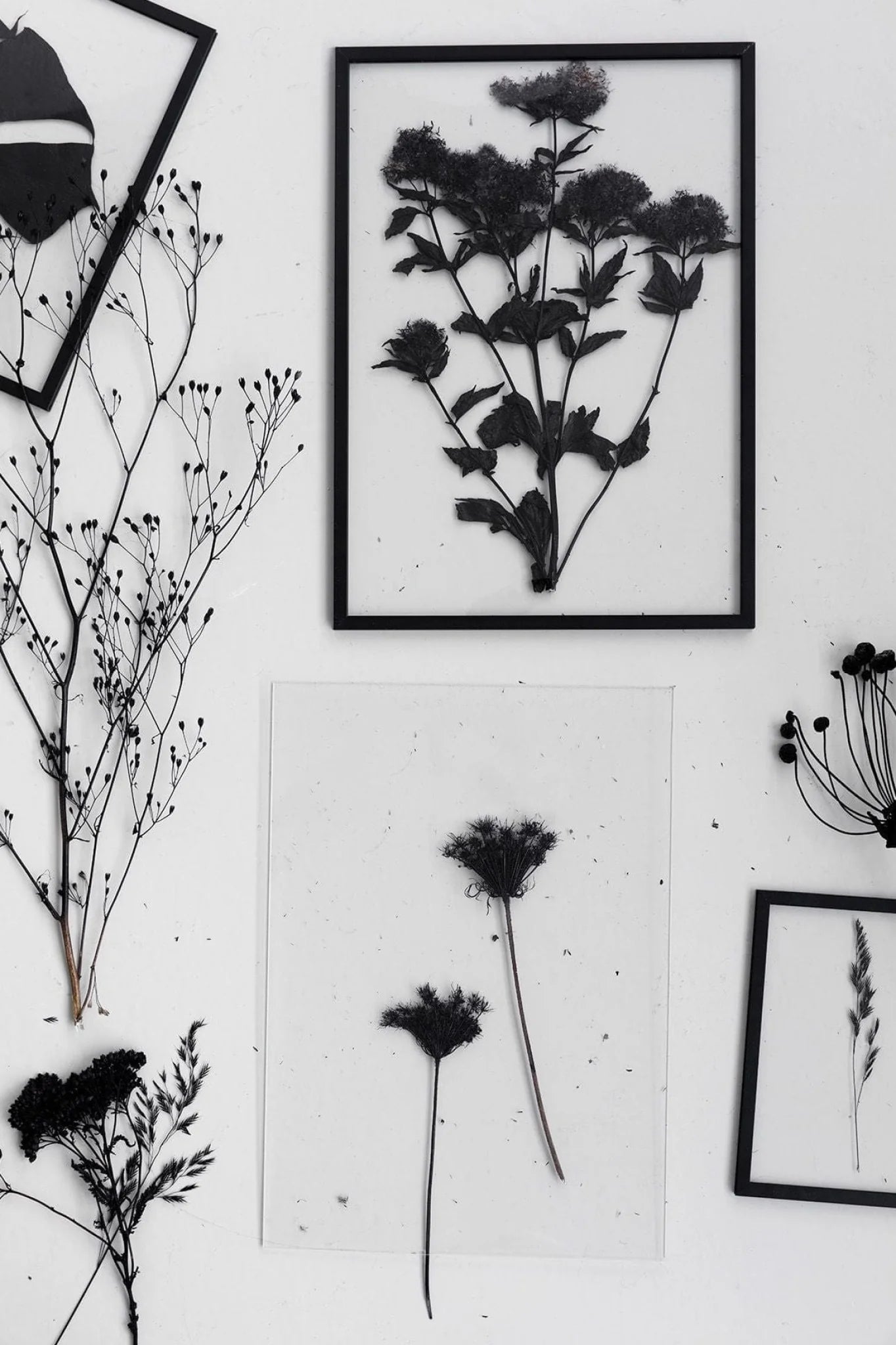 Moebe Frame 40x50 Cm, Black