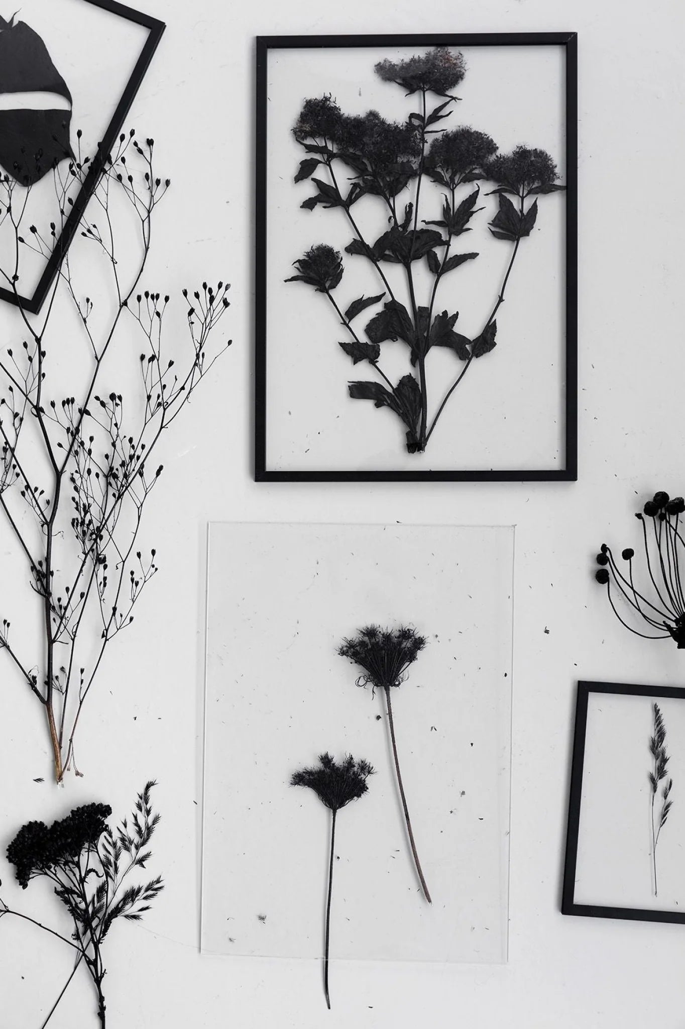 Sleek Moebe A5 Black Frame: Durable Aluminum & Acrylic Design, Made in Europe